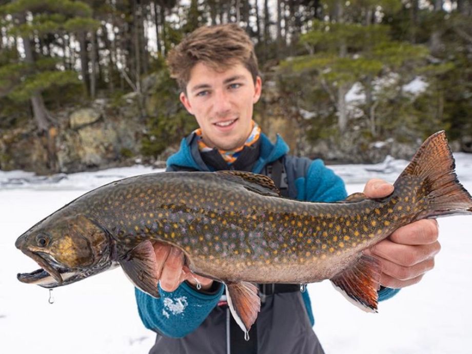 The most popular recent Brook trout catch on Fishbrain