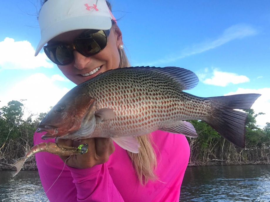 The most popular recent Mangrove snapper catch on Fishbrain